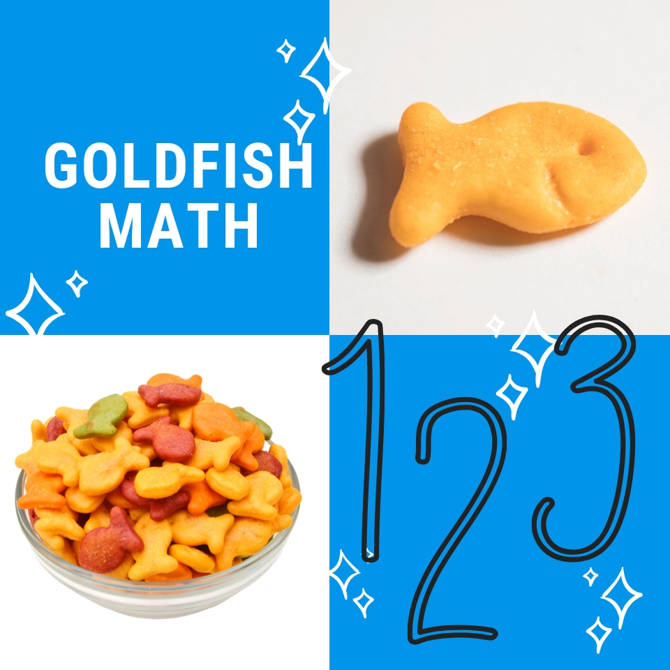 Goldfish Math Ashwood Glen